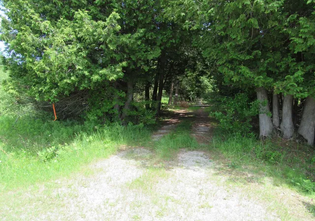 Photo 4 of Land for sale at 0 N Poor Farm Rd, Harrisville, MI 48740 | MLS# 77080070173 | Listing updated on 2026-08-26