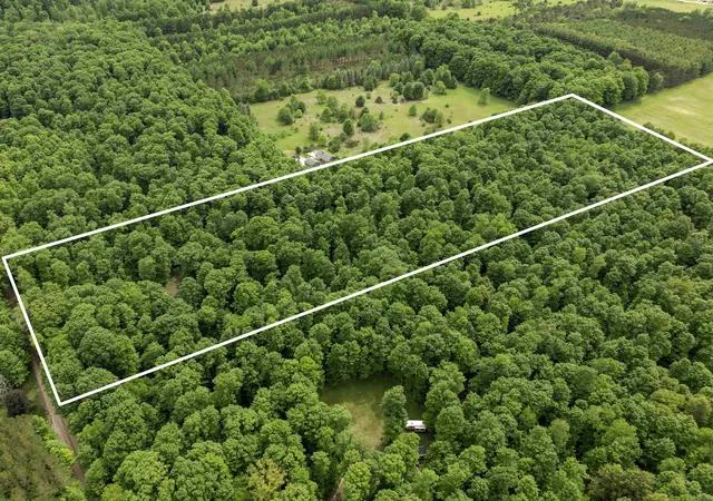 2nd image of 7532 Way Rd, Platte Township Benzie, MI 49640 | MLS# 78080070188