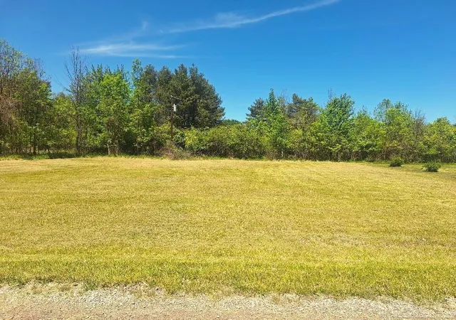 Land for sale at Lot 7 Avalon Cir, Lexington, MI 48450 | MLS# 58050212682