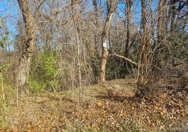 Photo 1 of Land for sale at 000 Hillpoint Dr, Brighton, MI 48116 | MLS# 20261048153 | Listing updated on 2026-07-07