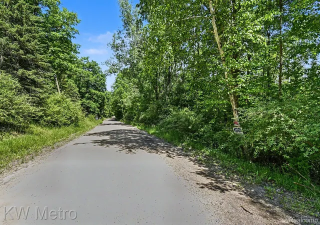4th image of N/A Franklin Trl, Twining, MI 48766 | MLS# 20261048155