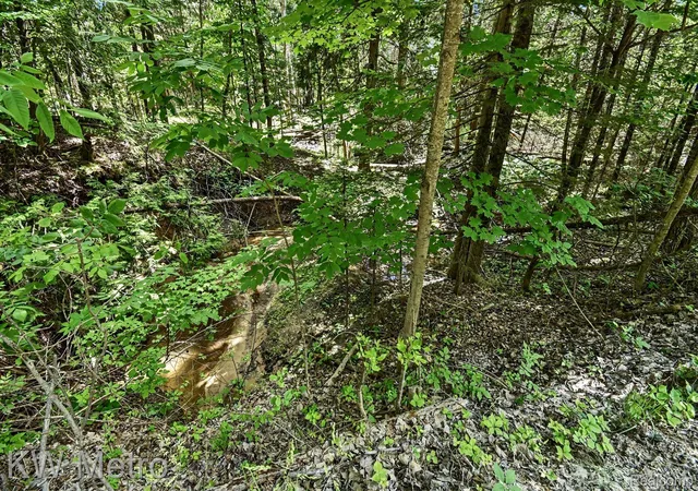 5th image of N/A Franklin Trl, Twining, MI 48766 | MLS# 20261048155