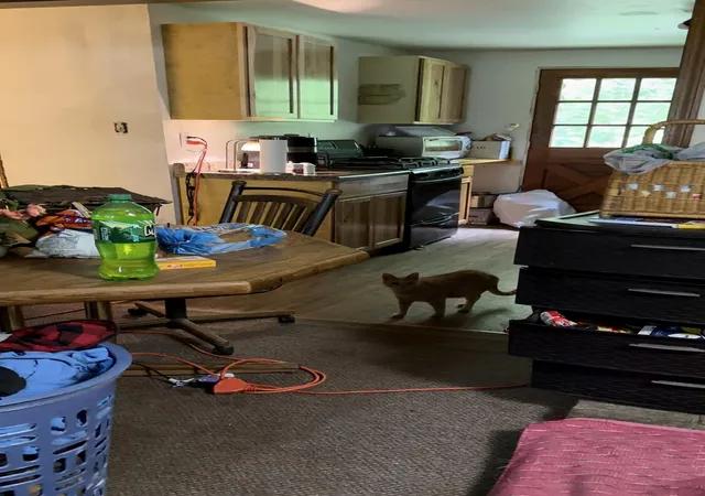 Photo 3 of Single family home for sale at 4882 W Bluewater Hwy, Saranac, MI 48881 | MLS# 66026031696 | Listing updated on 2026-09-08