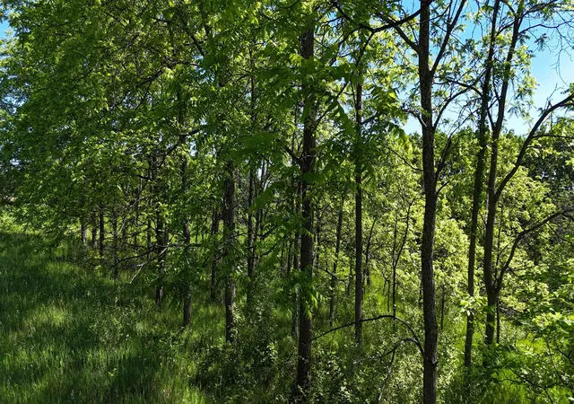 Photo 12 of Land for sale at N Swede Rd, Northport, MI 49670 | MLS# 78080070203 | Listing updated on 2026-08-04