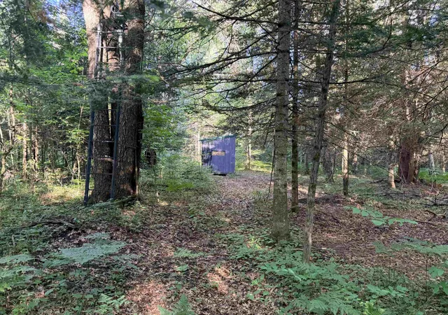 Photo 3 of Land for sale at 16695 20th Avenue, Marion, MI 49665 | MLS# 78080070214 | Listing updated on 2026-06-28