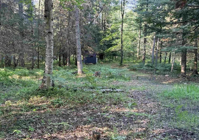Photo 4 of Land for sale at 16695 20th Avenue, Marion, MI 49665 | MLS# 78080070214 | Listing updated on 2026-06-28