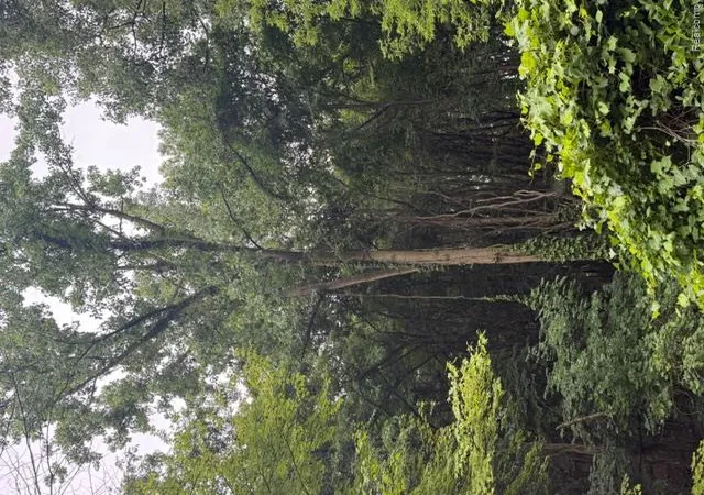 Photo 1 of Land for sale at 1985 Golfcrest Dr, Commerce Township, MI 48382 | MLS# 20261048298 | Listing updated on 2026-07-06