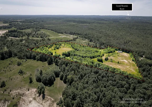 17th image of 000 Nessen City Rd, Copemish, MI 49625 | MLS# 78080070232