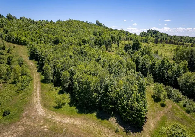 3rd image of 000 Nessen City Rd, Copemish, MI 49625 | MLS# 78080070232