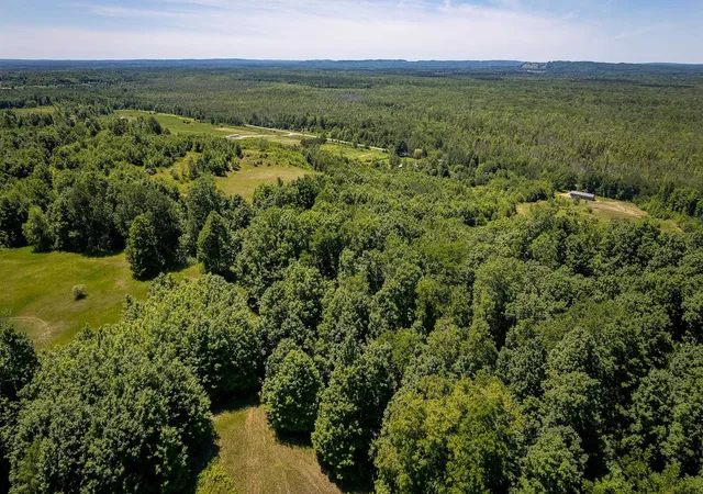 4th image of 000 Nessen City Rd, Copemish, MI 49625 | MLS# 78080070232