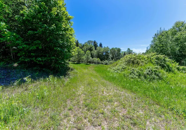 5th image of 000 Nessen City Rd, Copemish, MI 49625 | MLS# 78080070232