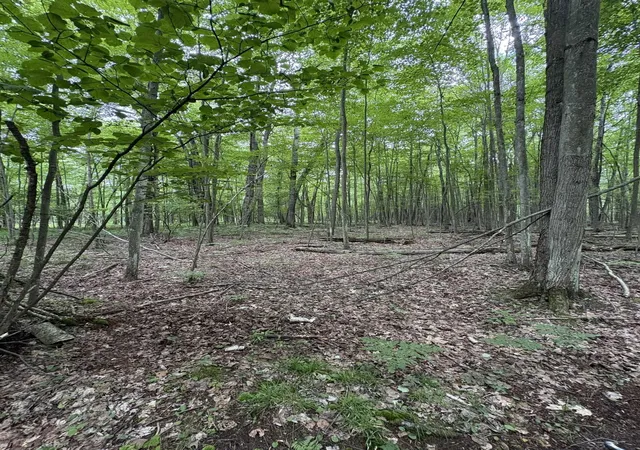 Photo 1 of Land for sale at 3680 Wieman Rd, Beaverton, MI 48612 | MLS# 61050212856 | Listing updated on 2026-06-25