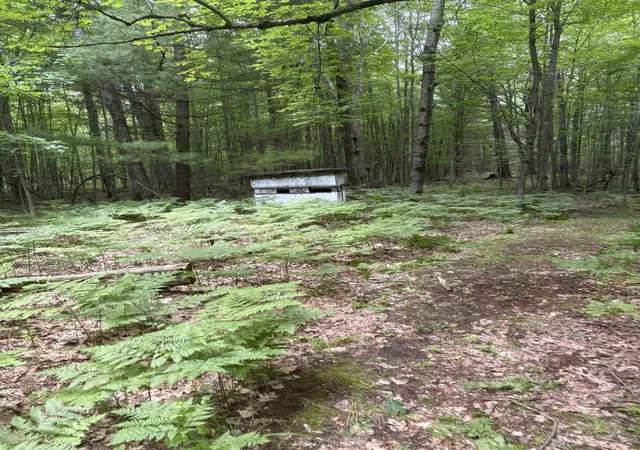 Photo 2 of Land for sale at 3680 Wieman Rd, Beaverton, MI 48612 | MLS# 61050212856 | Listing updated on 2026-06-25