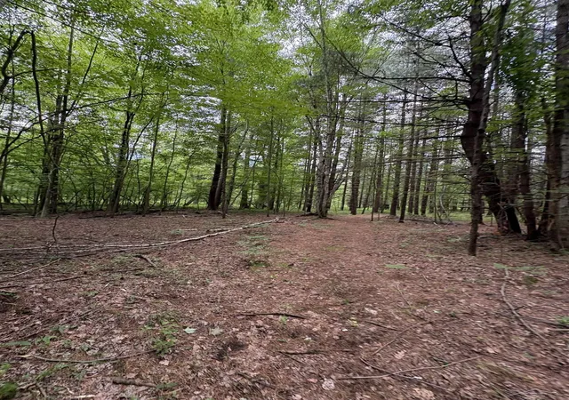 Photo 3 of Land for sale at 3680 Wieman Rd, Beaverton, MI 48612 | MLS# 61050212856 | Listing updated on 2026-06-25