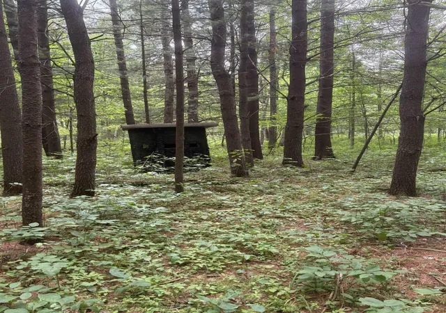 Photo 3 of Land for sale at 3680 Wieman Rd, Beaverton, MI 48612 | MLS# 61050212856 | Listing updated on 2026-06-25