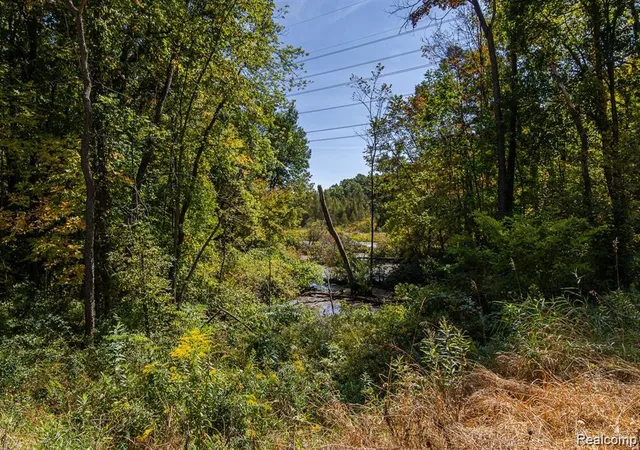 Photo 3 of Land for sale at 10516 Merrill Dr, Fenton, MI 48430 | MLS# 20261048644 | Listing updated on 2026-08-26