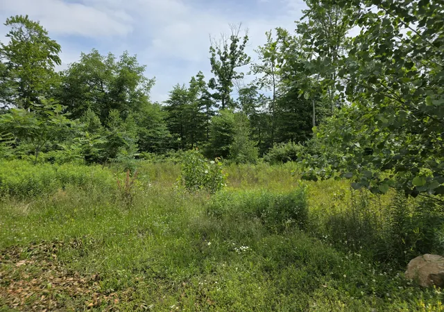 Listing Photo 4 - Condo for sale in building located at 9285 Sassafras Trl, Portage, MI 49002 - Unit #78