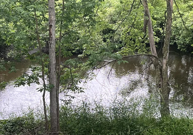 image of 1172 N Greenville Rd, Stanton, MI 48888 | MLS# 65026032262