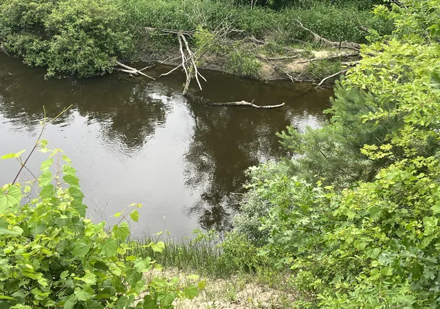 image of 1172 N Greenville Rd, Stanton, MI 48888 | MLS# 65026032262