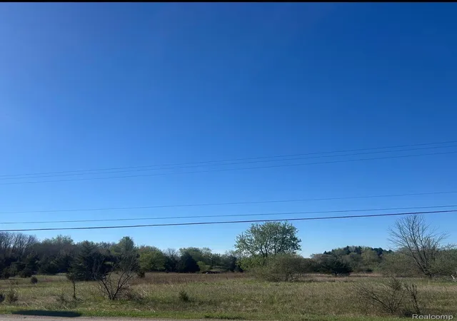 Photo 3 of Land for sale at 000 M 36 Rd, Hamburg Township Livingston, MI 48169 | MLS# 20261048743 | Listing updated on 2026-08-26