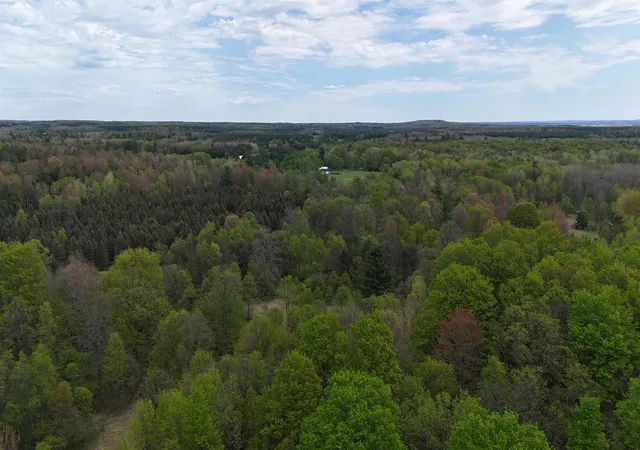 Photo 2 of Land for sale at Vl 19 Road, Hanover Township Wexford, MI 49649 | MLS# 78080070324 | Listing updated on 2026-06-29