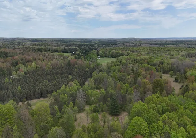 Photo 3 of Land for sale at Vl 19 Road, Hanover Township Wexford, MI 49649 | MLS# 78080070324 | Listing updated on 2026-06-29