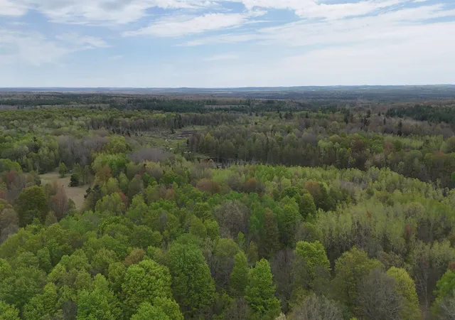 Photo 4 of Land for sale at Vl 19 Road, Hanover Township Wexford, MI 49649 | MLS# 78080070324 | Listing updated on 2026-06-29