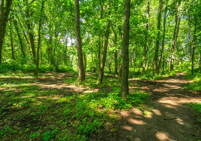 16th image of 8765 M 66, East Leroy, MI 49051 | MLS# 64026032471