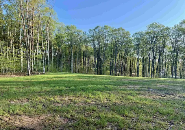 Photo 1 of Land for sale at 001 S Bright Rd, Maple City, MI 49664 | MLS# 78080070363 | Listing updated on 2026-08-04