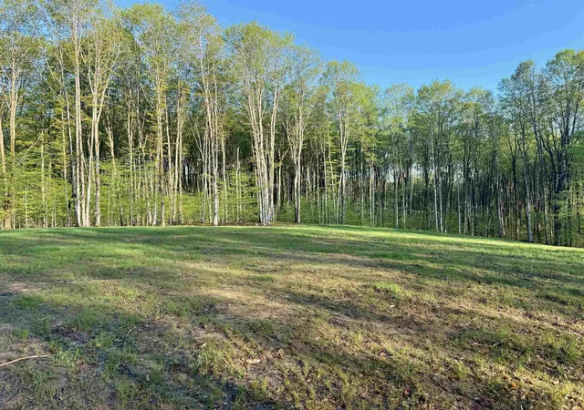 Photo 2 of Land for sale at 001 S Bright Rd, Maple City, MI 49664 | MLS# 78080070363 | Listing updated on 2026-08-04