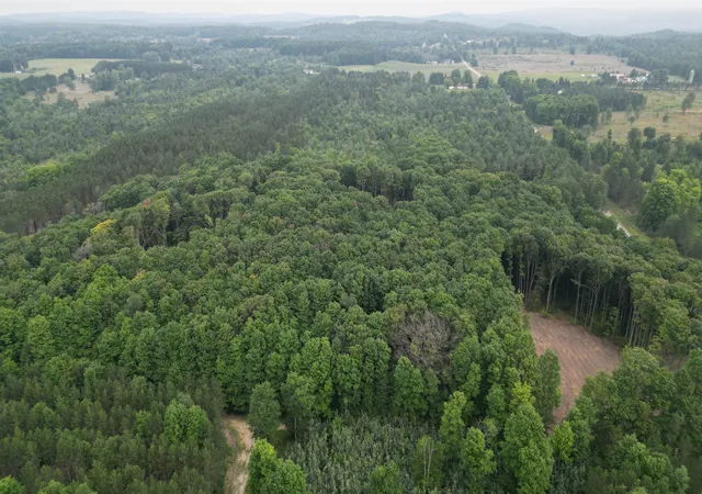 Photo 4 of Land for sale at 001 S Bright Rd, Maple City, MI 49664 | MLS# 78080070363 | Listing updated on 2026-08-04