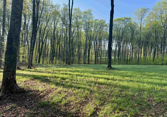 Photo 2 of Land for sale at 02 S Bright Rd, Maple City, MI 49664 | MLS# 78080070364 | Listing updated on 2026-08-04