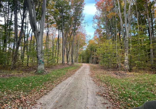Photo 3 of Land for sale at 02 S Bright Rd, Maple City, MI 49664 | MLS# 78080070364 | Listing updated on 2026-08-04