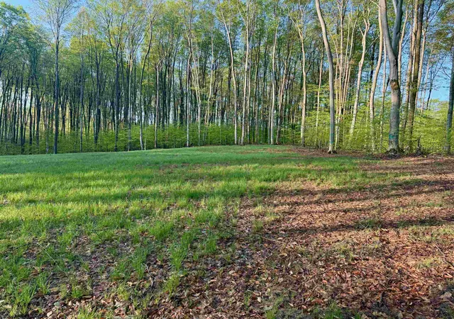 Photo 3 of Land for sale at 02 S Bright Rd, Maple City, MI 49664 | MLS# 78080070364 | Listing updated on 2026-08-04