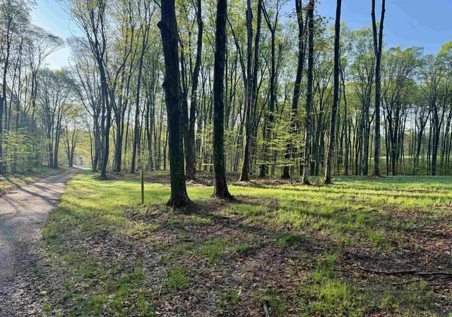 Photo 4 of Land for sale at 02 S Bright Rd, Maple City, MI 49664 | MLS# 78080070364 | Listing updated on 2026-08-04