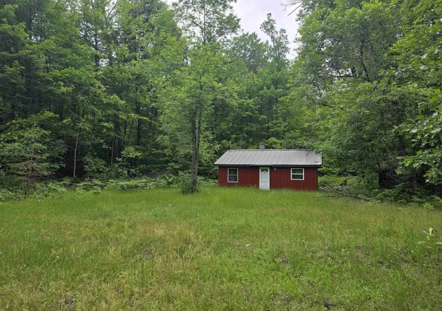 Photo 1 of Land for sale at 6300 Kerr Trl, Hale, MI 48739 | MLS# 77080070369 | Listing updated on 2026-08-28