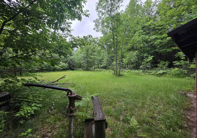 Photo 3 of Land for sale at 6300 Kerr Trl, Hale, MI 48739 | MLS# 77080070369 | Listing updated on 2026-08-28