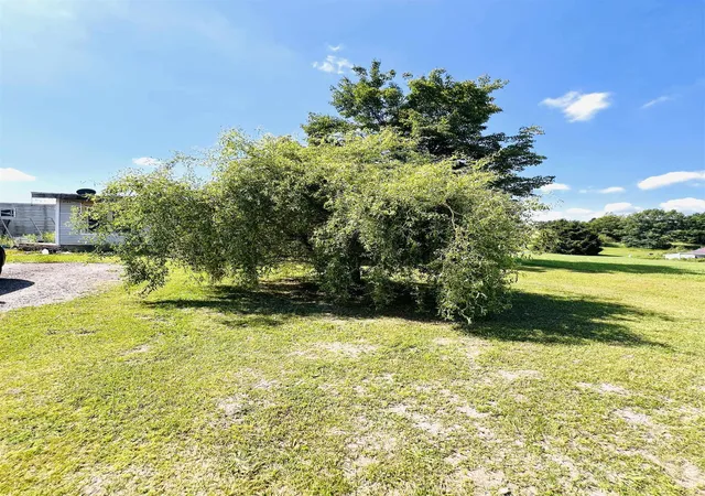 Photo 3 of Single family home for sale at 111 Eastland Dr, Leroy, MI 49655 | MLS# 78080070375 | Listing updated on 2026-07-01