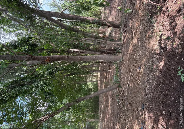 Photo 3 of Land for sale at 16133 Meredith Ct, Linden, MI 48451 | MLS# 20261049131 | Listing updated on 2026-07-22