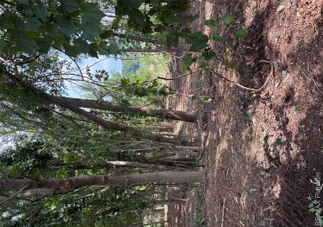 Photo 4 of Land for sale at 16133 Meredith Ct, Linden, MI 48451 | MLS# 20261049131 | Listing updated on 2026-07-22