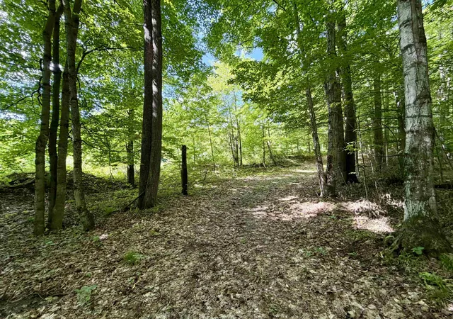 Photo 1 of Land for sale at 10 Broken Clb Dr, Bellaire, MI 49615 | MLS# 78080070394 | Listing updated on 2026-08-31