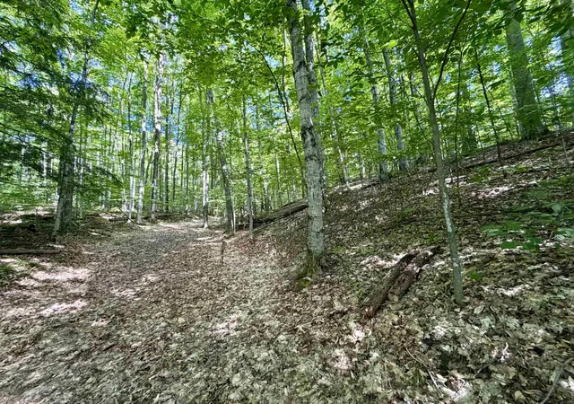 Photo 2 of Land for sale at 10 Broken Clb Dr, Bellaire, MI 49615 | MLS# 78080070394 | Listing updated on 2026-08-31