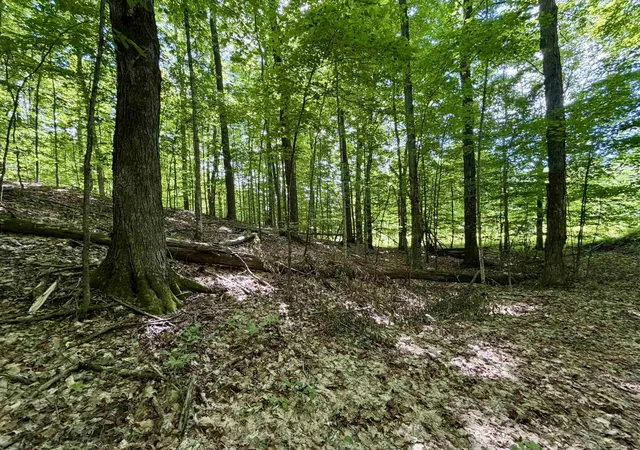 Photo 3 of Land for sale at 10 Broken Clb Dr, Bellaire, MI 49615 | MLS# 78080070394 | Listing updated on 2026-08-31
