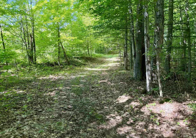 Photo 3 of Land for sale at 10 Broken Clb Dr, Bellaire, MI 49615 | MLS# 78080070394 | Listing updated on 2026-08-31