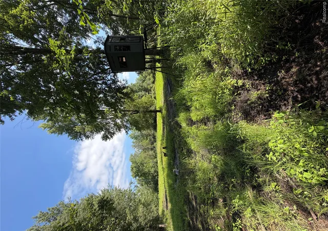 Photo 3 of Land for sale at 00 Ripple Way, White Lake, MI 48383 | MLS# 20261049242 | Listing updated on 2026-07-15
