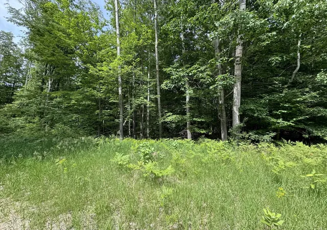 Photo 1 of Land for sale at Knoll One Dr, Le Roy, MI 49655 | MLS# 78080070404 | Listing updated on 2026-07-02