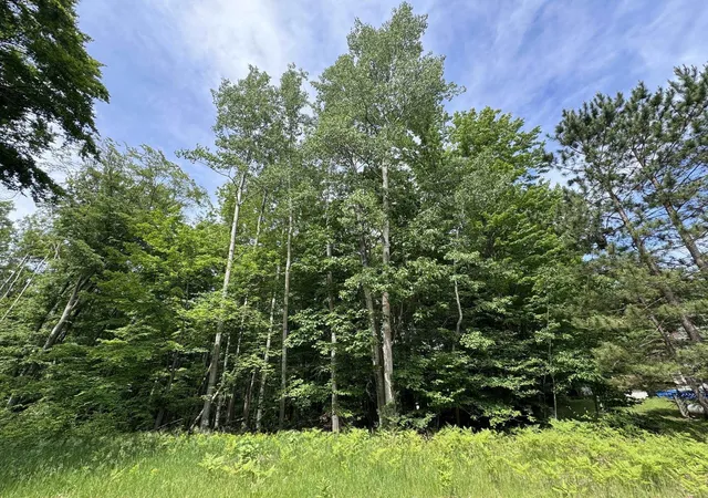 Photo 3 of Land for sale at Knoll One Dr, Le Roy, MI 49655 | MLS# 78080070404 | Listing updated on 2026-07-02