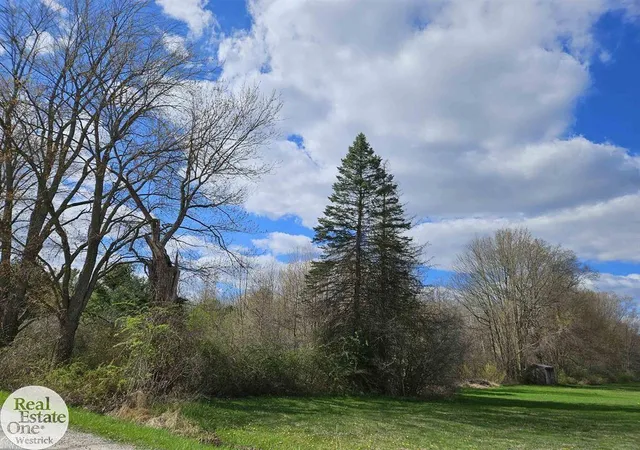 Photo 1 of Land for sale at 0 Genaw Rd, Marine City, MI 48039 | MLS# 58050213372 | Listing updated on 2026-07-02