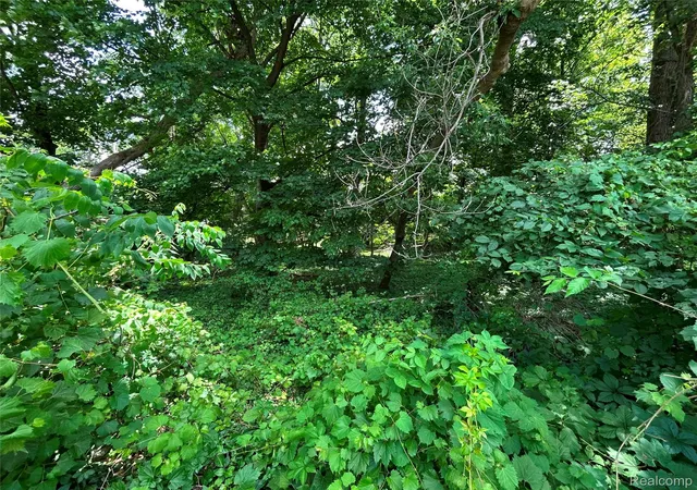 Photo 1 of Land for sale at 505 S Telegraph Rd, Dearborn, MI 48124 | MLS# 20261049773 | Listing updated on 2026-07-06