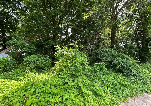 Photo 2 of Land for sale at 505 S Telegraph Rd, Dearborn, MI 48124 | MLS# 20261049773 | Listing updated on 2026-07-06